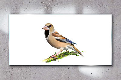 Tableau imprimé sur verre Un oiseau sur une brindille