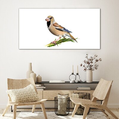Tableau imprimé sur verre Un oiseau sur une brindille