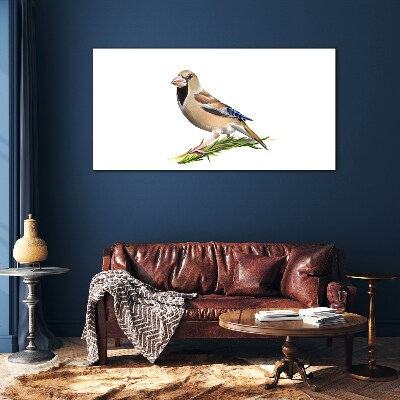 Tableau imprimé sur verre Un oiseau sur une brindille
