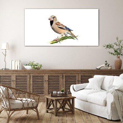 Tableau imprimé sur verre Un oiseau sur une brindille