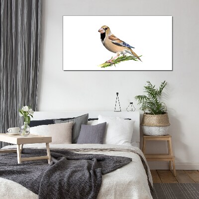 Tableau imprimé sur verre Un oiseau sur une brindille