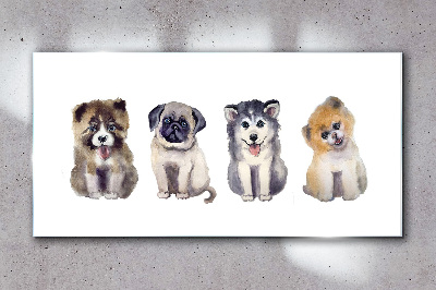 Tableau sur verre Quatre adorables chiots