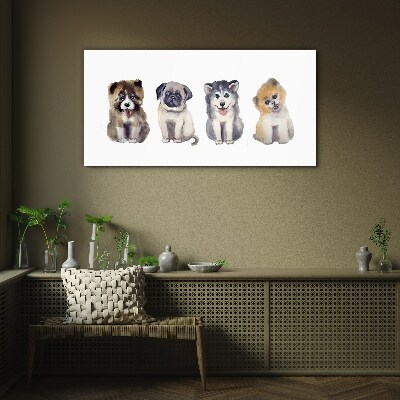 Tableau sur verre Quatre adorables chiots