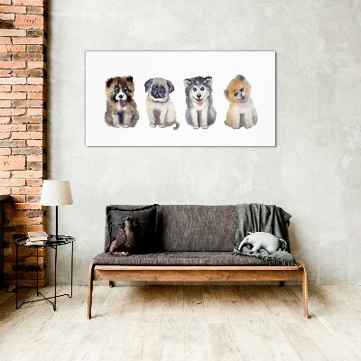 Tableau sur verre Quatre adorables chiots