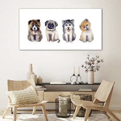 Tableau sur verre Quatre adorables chiots