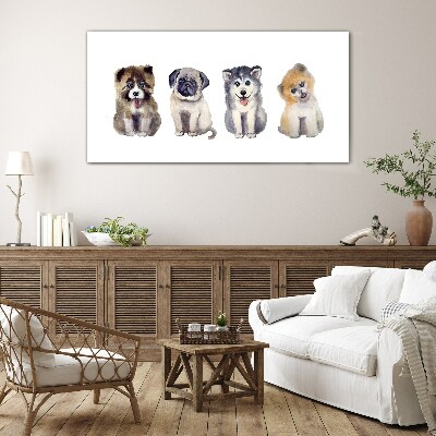 Tableau sur verre Quatre adorables chiots