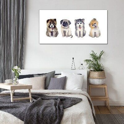 Tableau sur verre Quatre adorables chiots