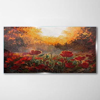 Tableau photo sur verre Coquelicots dorés dans la lumière du matin