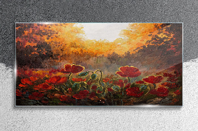 Tableau photo sur verre Coquelicots dorés dans la lumière du matin