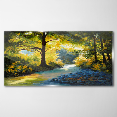 Tableau sur verre Lumière dorée dans le paysage forestier