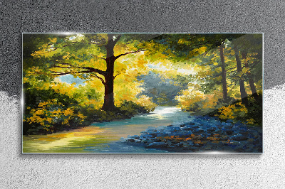 Tableau sur verre Lumière dorée dans le paysage forestier