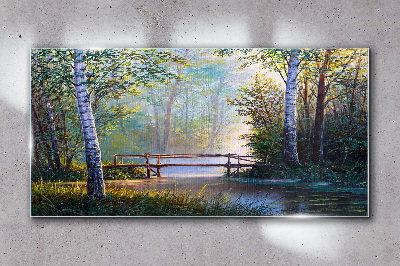 Tableau photo sur verre Un pont dans un paysage forestier
