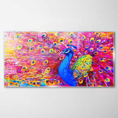 Tableau verre imprimé Un paon coloré dans la lueur printanière