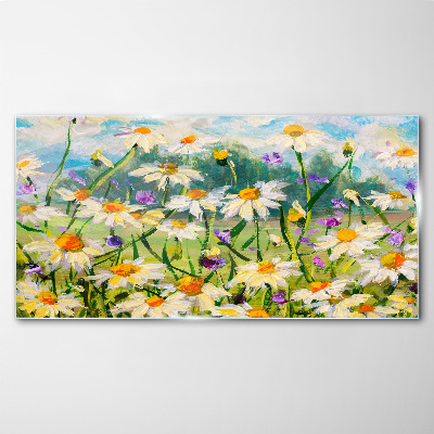 Tableau photo sur verre Un paradis floral sous le soleil d'été