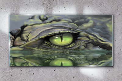 Tableau verre imprimé Œil de grenouille dans le reflet de l'eau