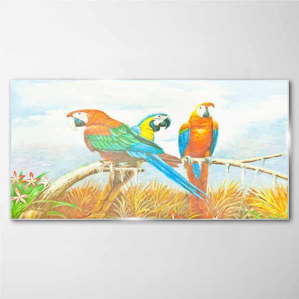 Tableau photo sur verre Perroquets tropicaux sur une branche