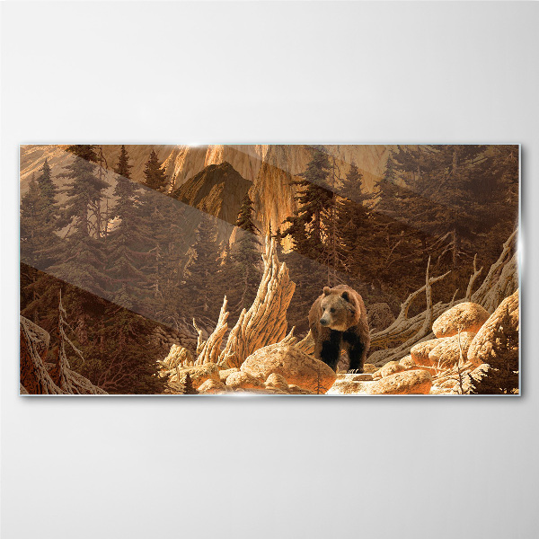 Tableau imprimé sur verre Grizzly dans un paysage de montagne