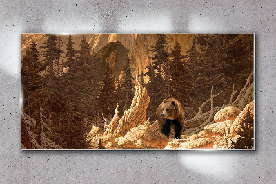 Tableau imprimé sur verre Grizzly dans un paysage de montagne