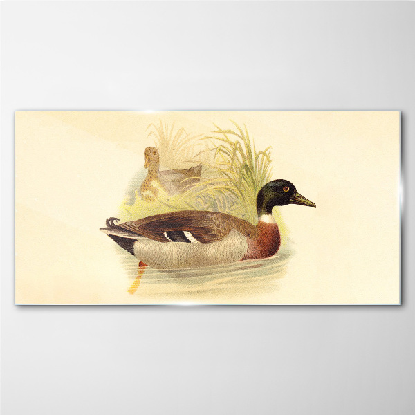 Tableau verre imprimé Canards dans l'herbe