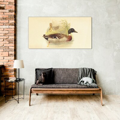 Tableau verre imprimé Canards dans l'herbe
