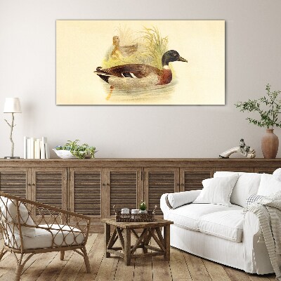 Tableau verre imprimé Canards dans l'herbe