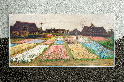 Tableau en verre Champs de tulipes au printemps