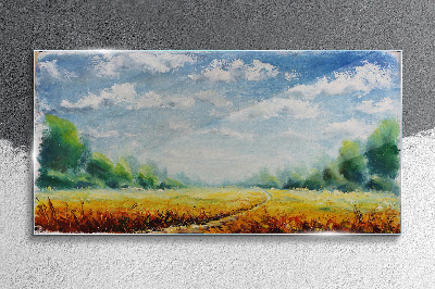 Tableau photo sur verre Champs d'été sous un ciel bleu