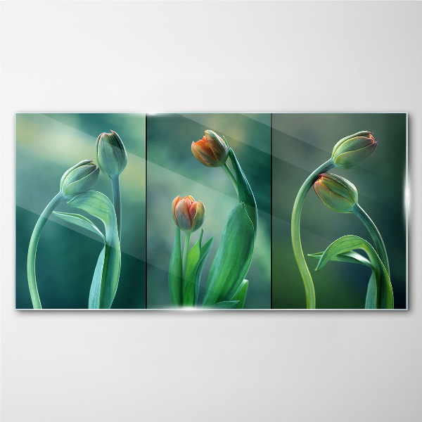 Tableau en verre Tulipes aux nuances de vert