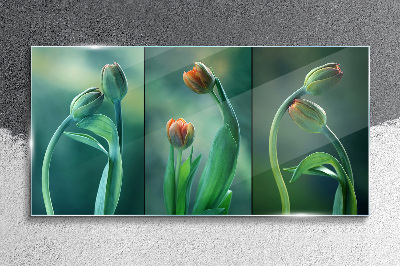 Tableau en verre Tulipes aux nuances de vert