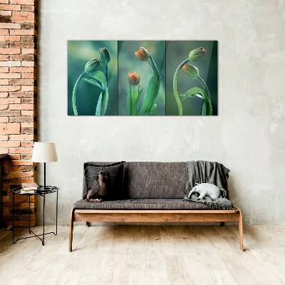 Tableau en verre Tulipes aux nuances de vert