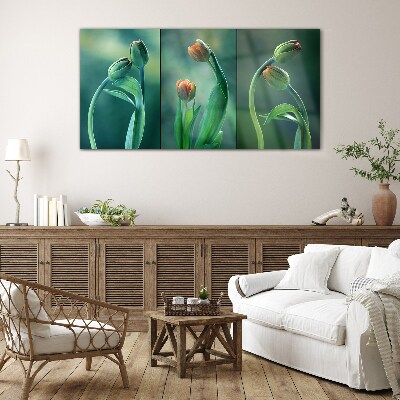 Tableau en verre Tulipes aux nuances de vert