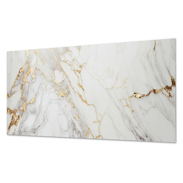 Panneau décoratif intérieur Marbre élégant avec veines