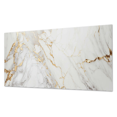 Panneau décoratif intérieur Marbre élégant avec veines