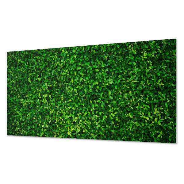 Panneau mural pvc Un mur dense de feuilles