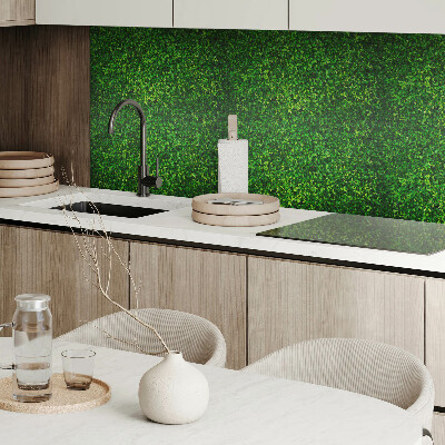 Panneau mural pvc Un mur dense de feuilles