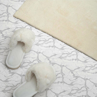 Panneau décoratif intérieur Motif de marbre veiné