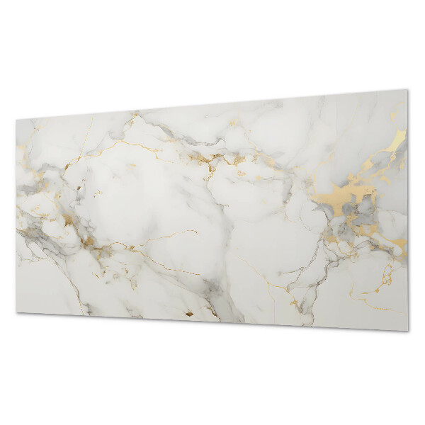 Panneau décoratif intérieur Motif de marbre élégant