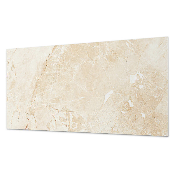 Panneau décoratif intérieur Motif de marbre élégant