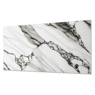 Panneau mural pvc Motif de marbre veiné