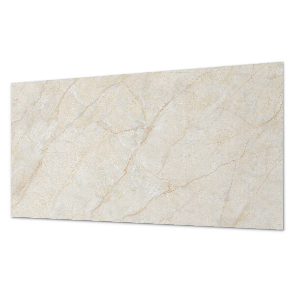 Panneau décoratif intérieur Motif de marbre élégant