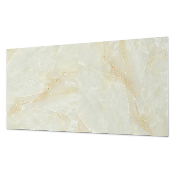 Panneau décoratif intérieur Motif de marbre élégant