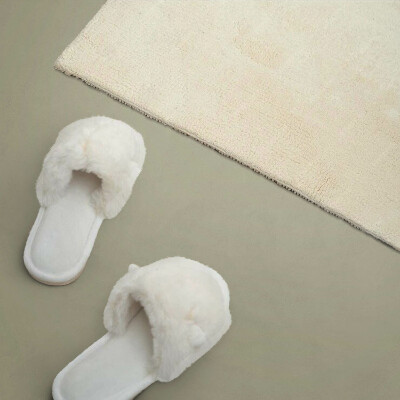 Panneau décoratif intérieur Couleur vert clair