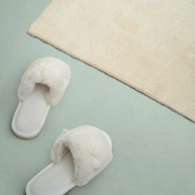 Panneau décoratif intérieur Couleur vert clair