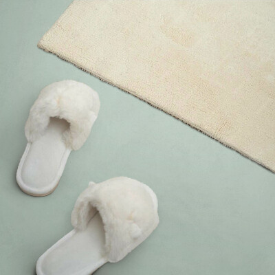 Panneau décoratif intérieur Couleur vert clair