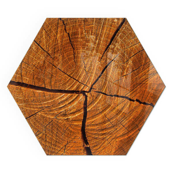 Verre sous poêle à bois hexagonal Un motif en coupe transversale de bois avec un grain distinct