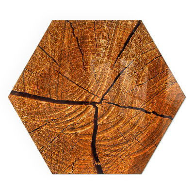 Verre sous poêle à bois hexagonal Un motif en coupe transversale de bois avec un grain distinct