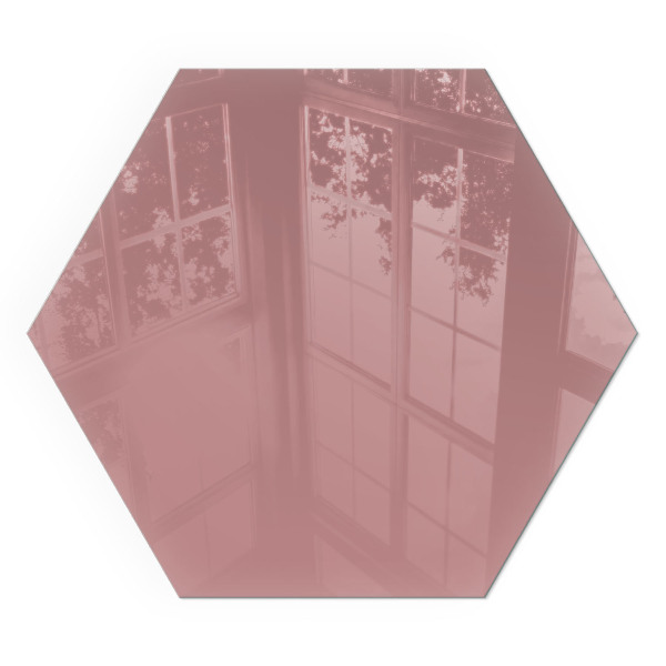 Plaque verre devant cheminée hexagonal Couleur rose