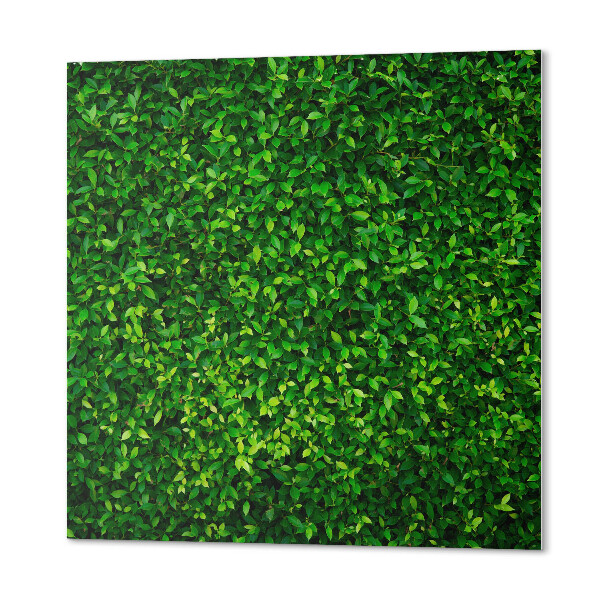 Revêtement mural pvc Mur végétalisé
