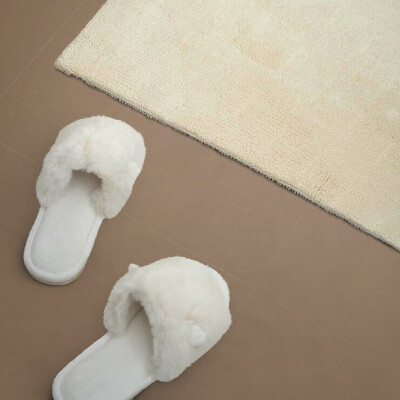 Panneau mural Style marron clair avec des éléments naturels