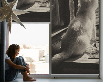 Store intérieur Des chats à la fenêtre